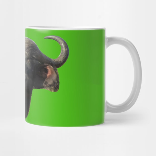 Water Buffalo Ox Portrait by ellenhenryart